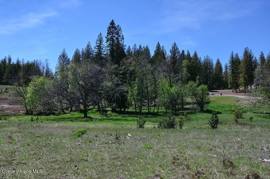 Picture 13