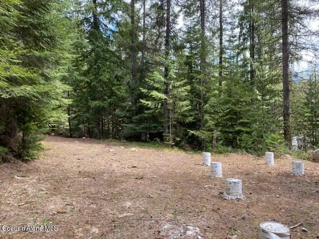 Picture 18