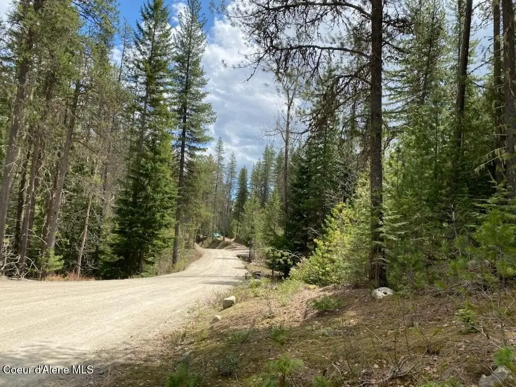 Picture 27