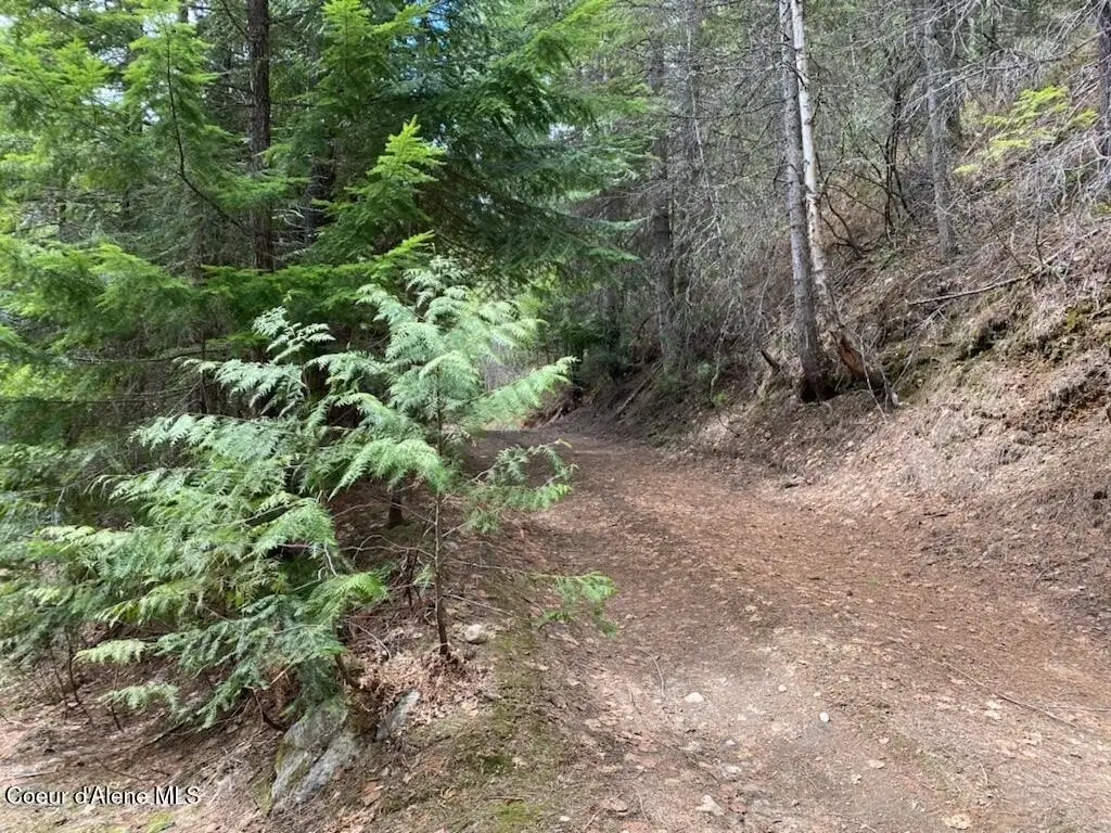 Picture 24