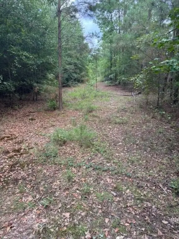 Picture 4