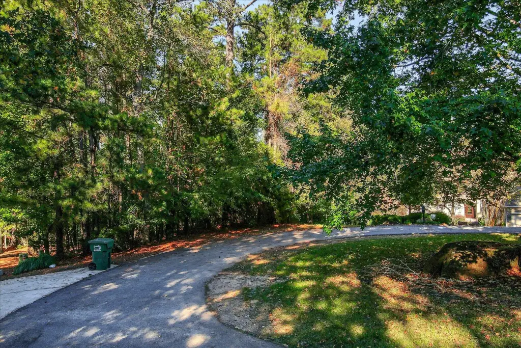 Picture 21
