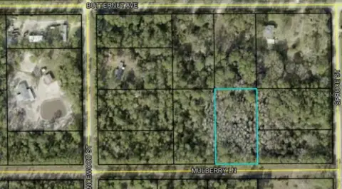 Land in Bunnell, Florida