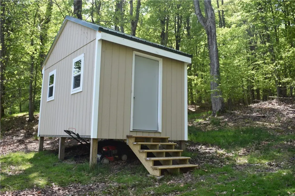 Picture 11