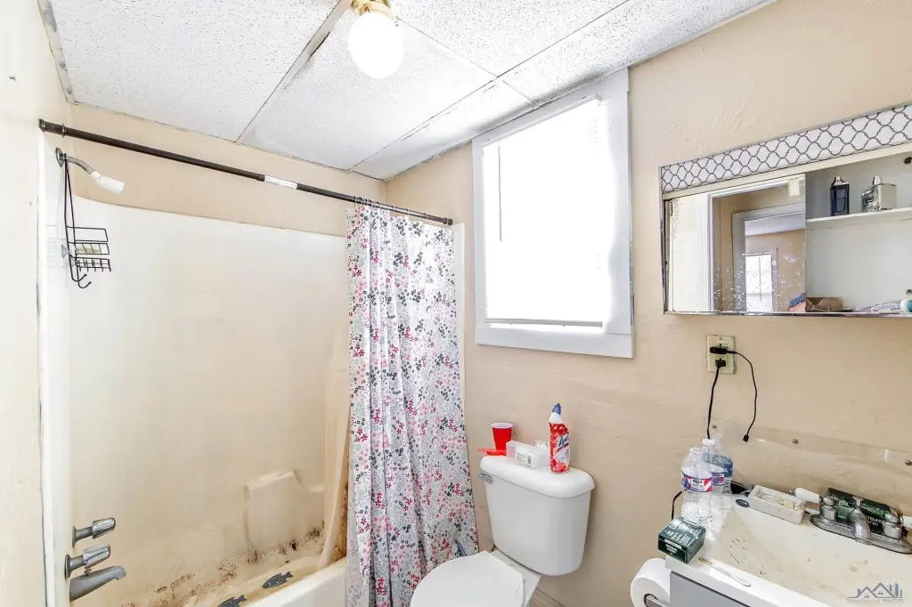 Picture 21