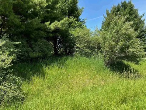 Vacant Land in Sugar Springs