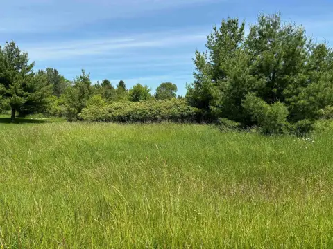Vacant Land in Sugar Springs