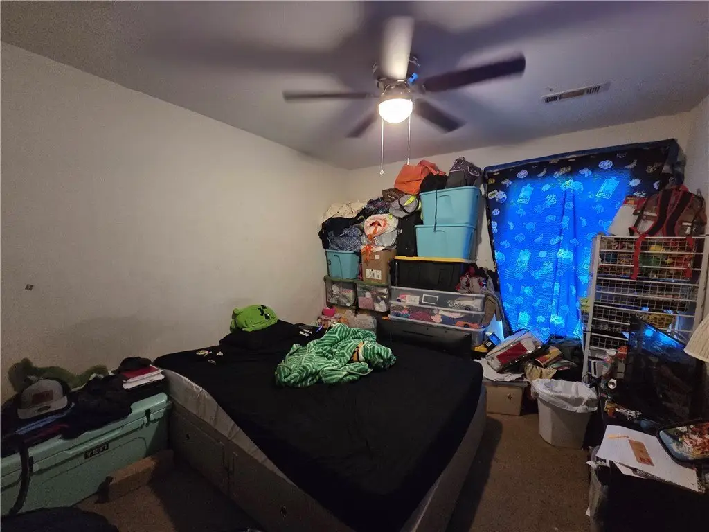 Picture 14