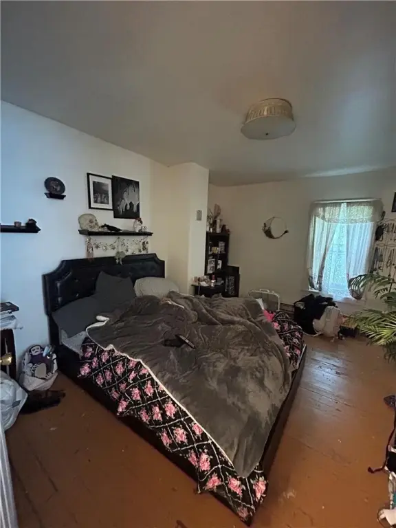 Picture 5