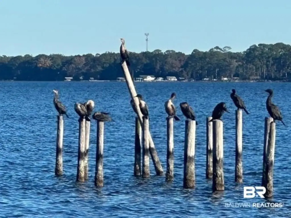 Picture 12