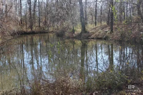 Waterfront Lot on Alabama River