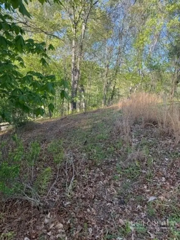 Picture 3