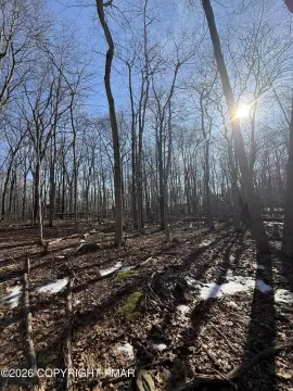 Pocono Lake Wooded Lot