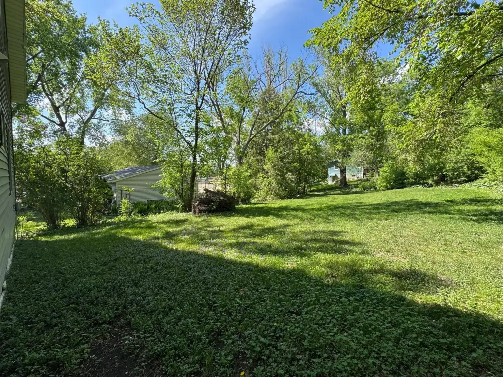 Picture 54