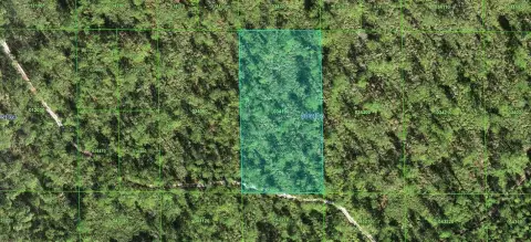 Vacant Lot in Lake Wales