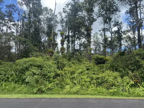 Vacant Land in Leilani Estates