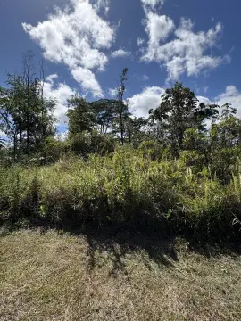 Vacant Land in Tiki Gardens