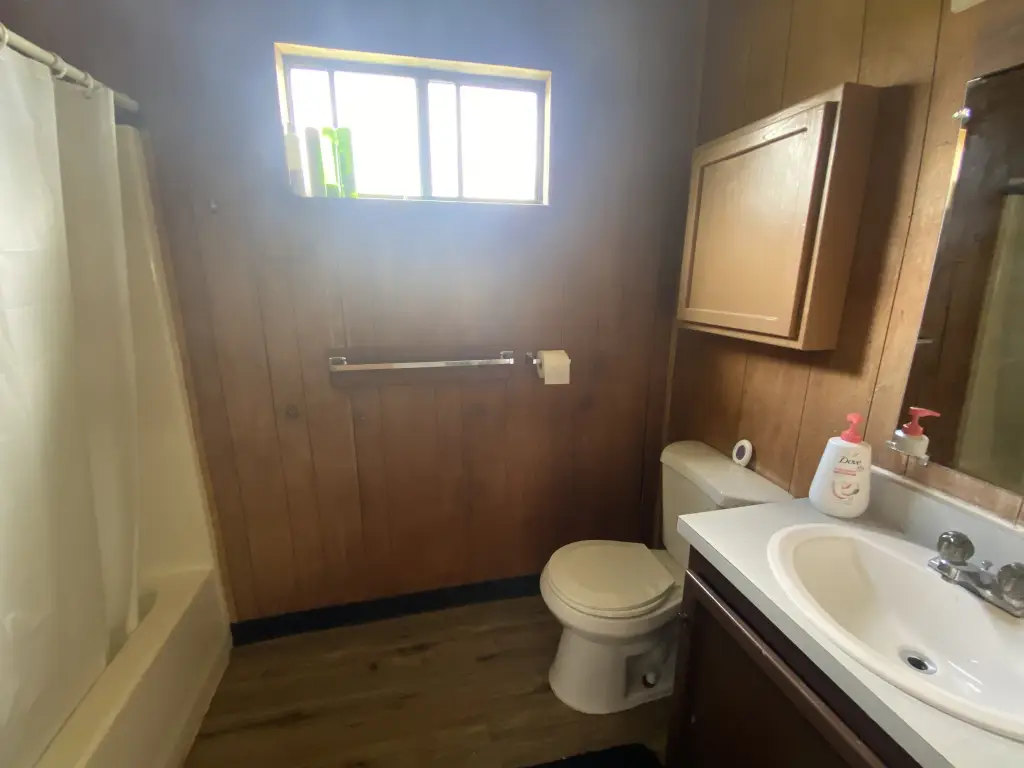 Picture 17