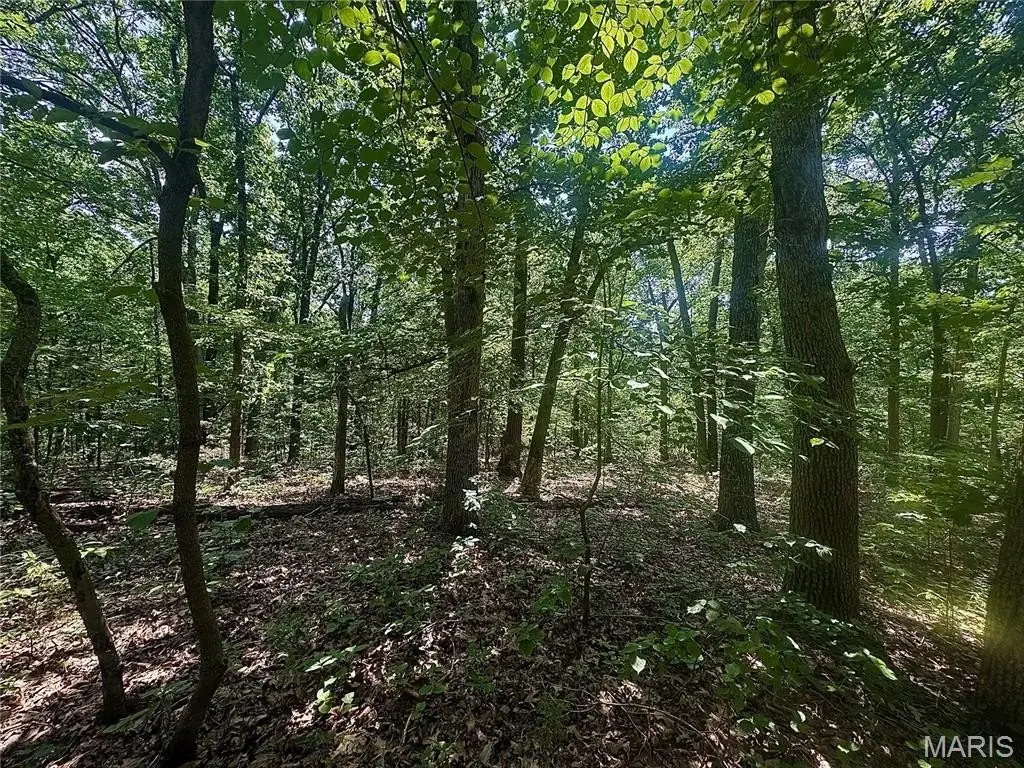 Picture 4