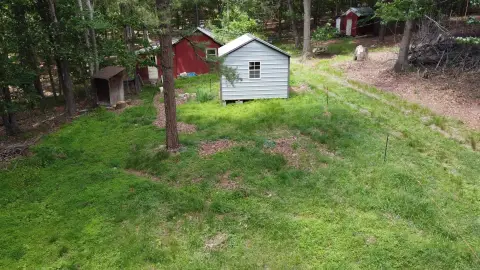 Wooded Acreage with Cabin Potential