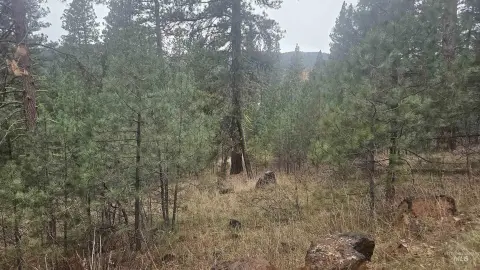 Wooded Building Lot in Boise
