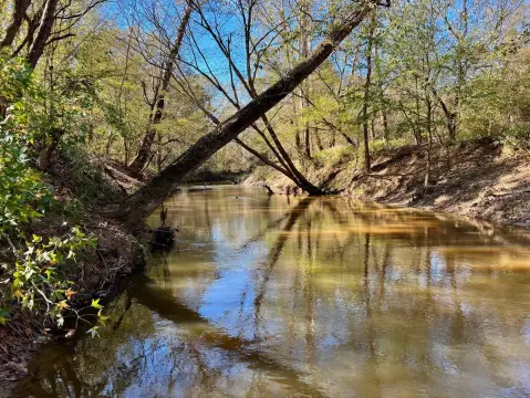 Versatile Hunting and Timber Tract