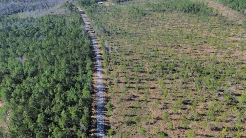 93-Acre Tract in Perdido, AL