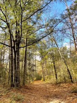 Large Acreage Land Parcel