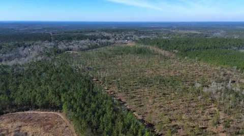 Prime Land Tract in Perdido