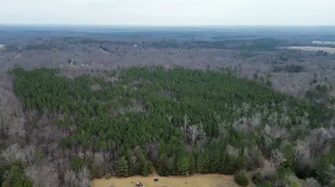 30-Acre Hardwood Tract in Snow Camp