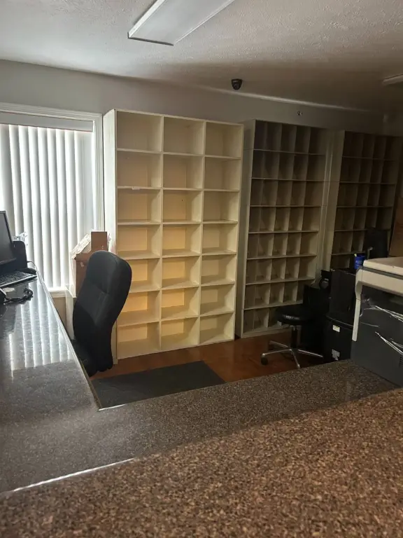 Picture 6