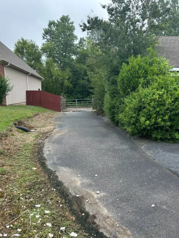 Picture 4
