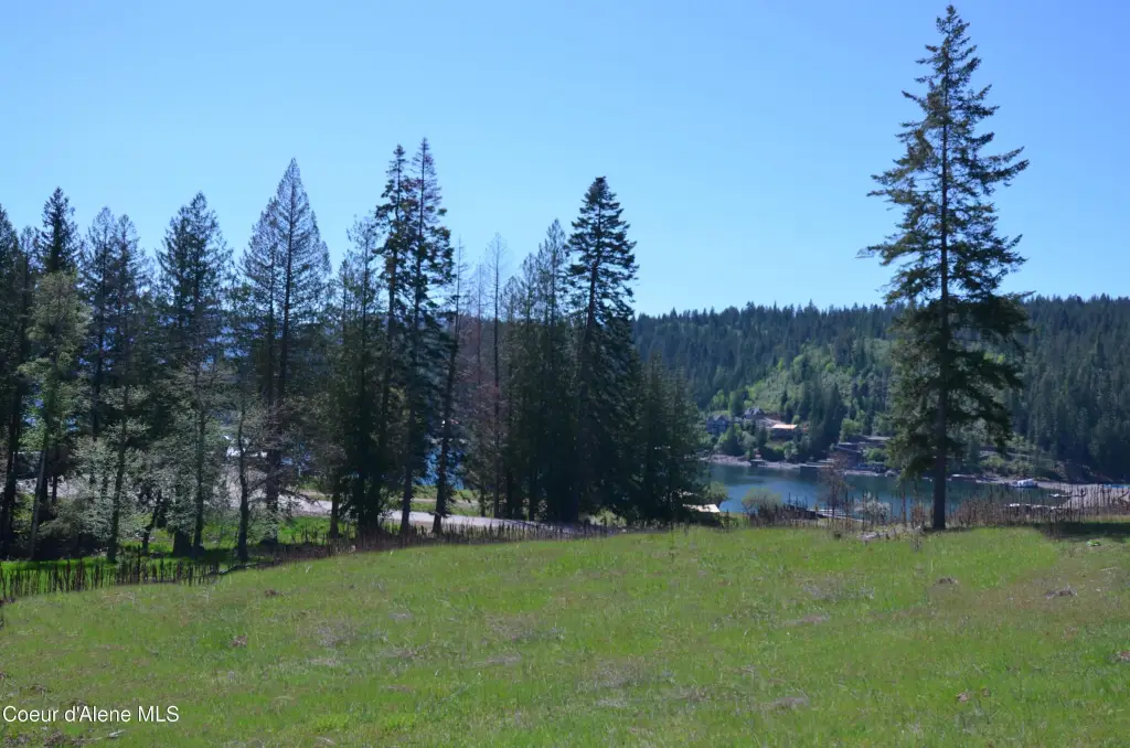 Picture 12
