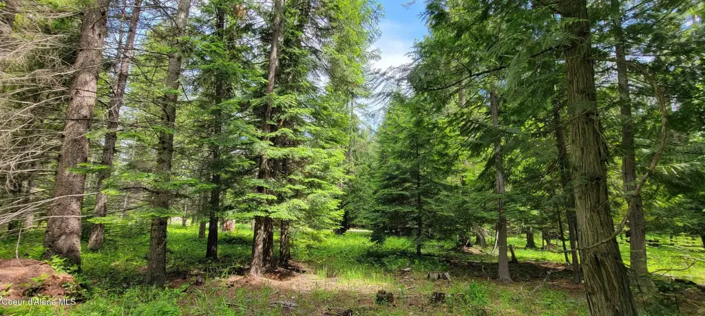 Picture 12