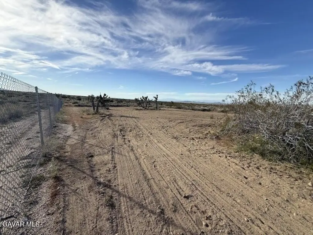 Picture 23