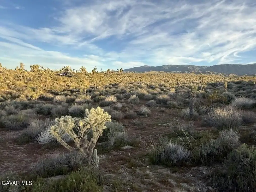 Picture 43