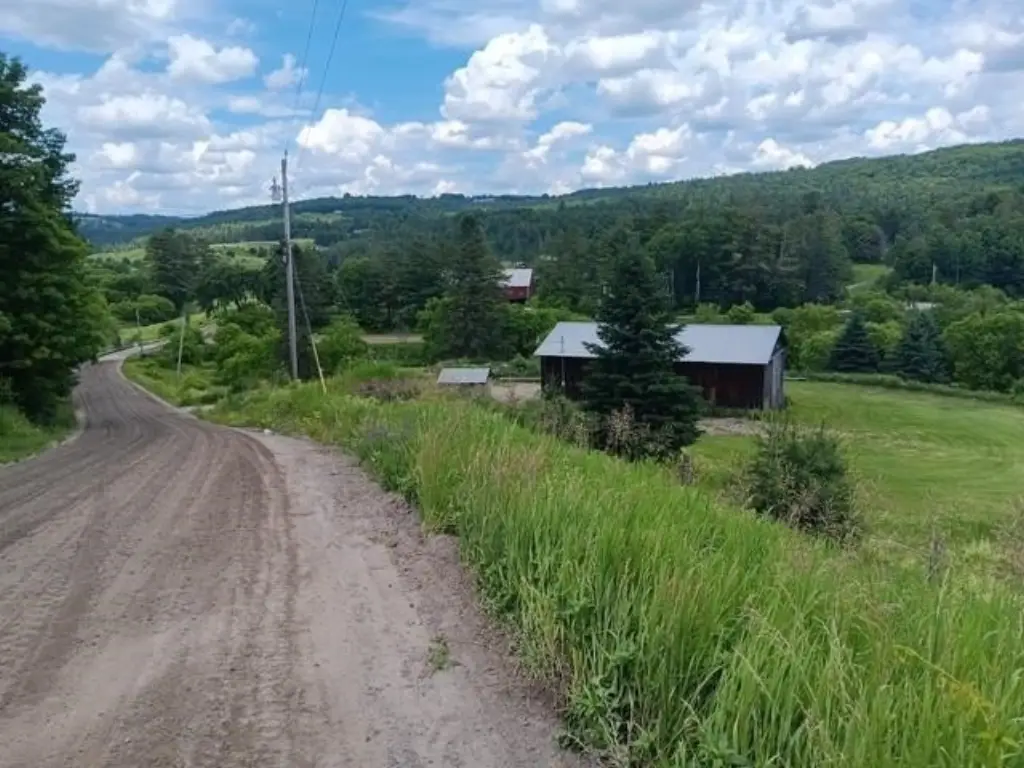 Picture 19