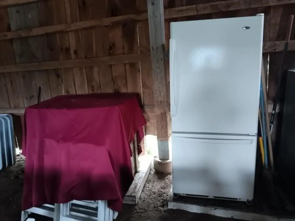 Picture 25