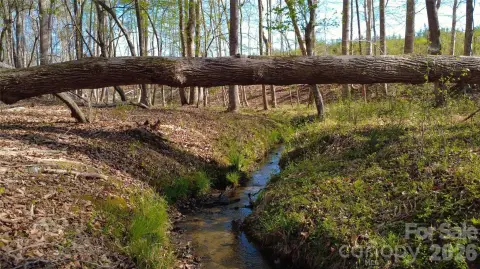 Residential Land in Jonesville, SC