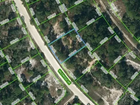 Residential Land in Lake Placid