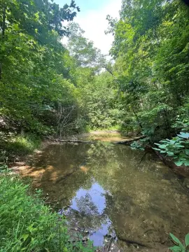 Land in Nantahala Area