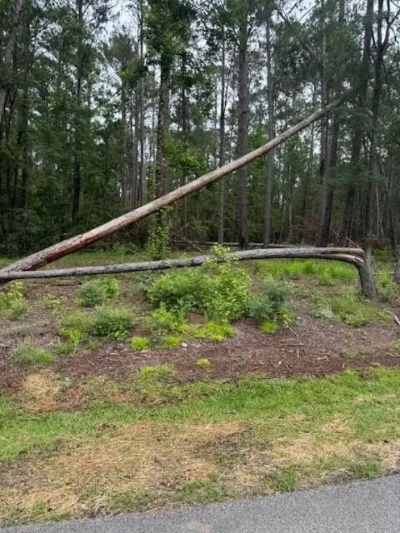 Picture 2