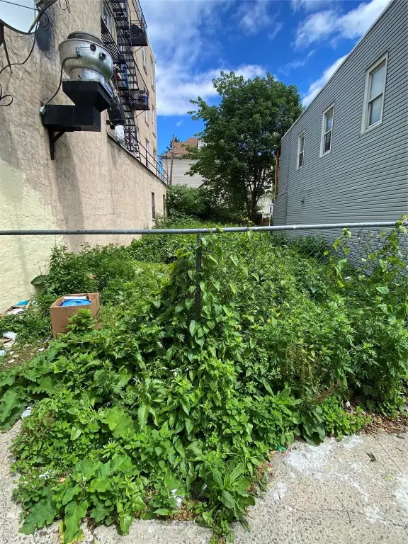 Picture 6