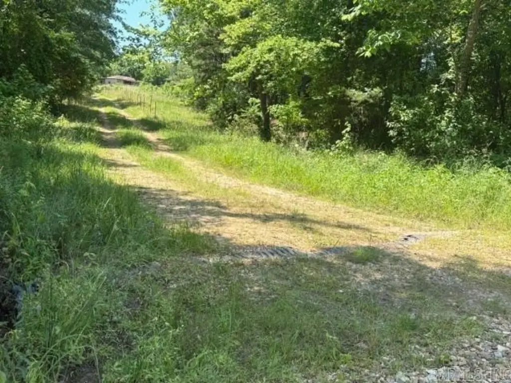Picture 6