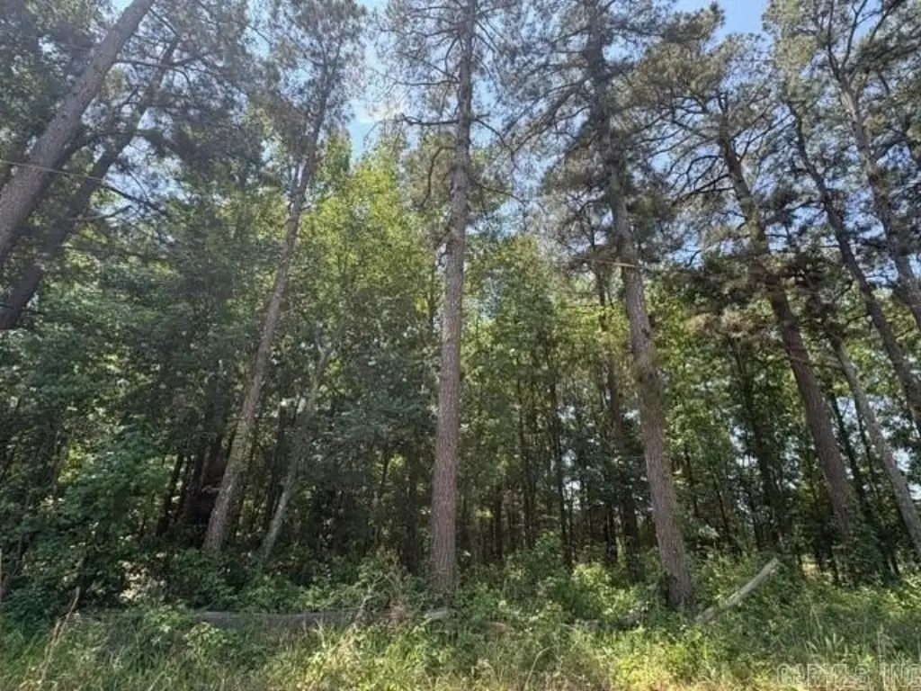 Picture 8
