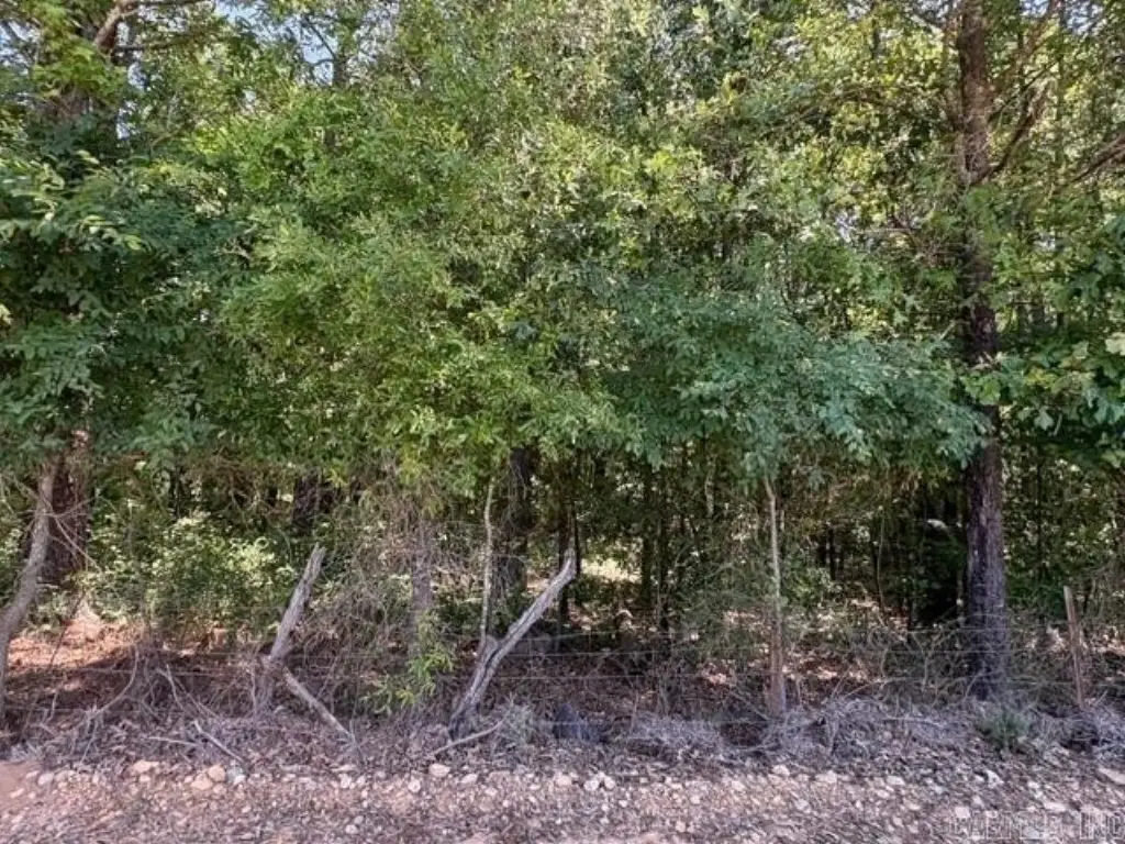 Picture 10