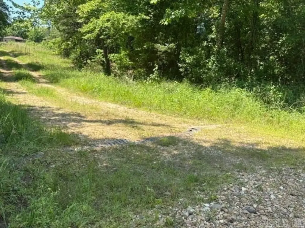 Picture 14