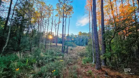 Residential Land in Bay Minette