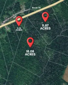 32.49 Acres in Liberty, NY