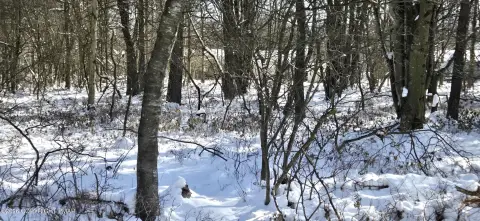 Residential Land in Pocono Community